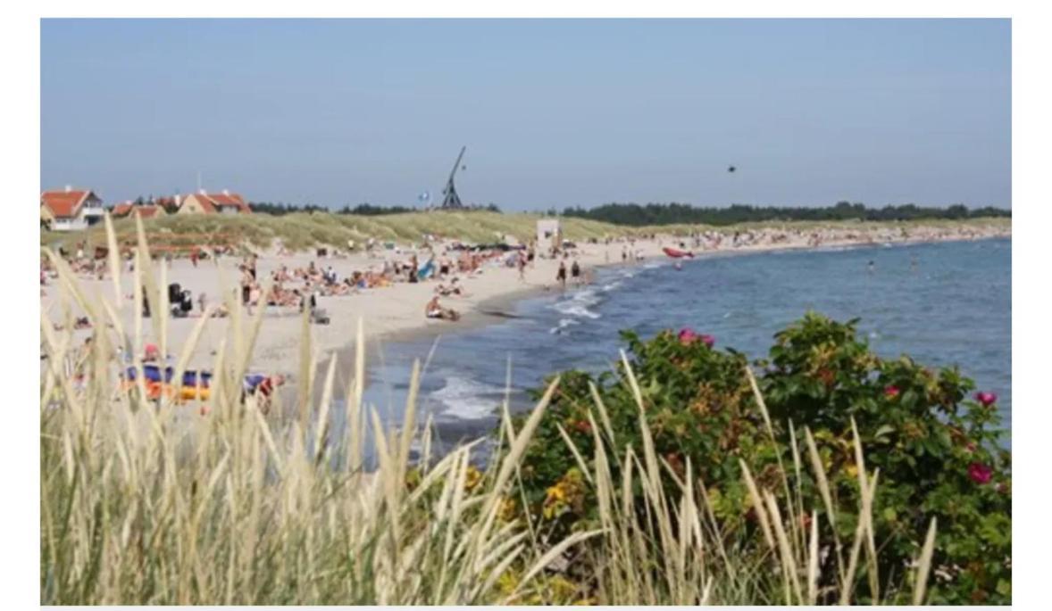 Skon Villalejlighed I Skagen Med Terrasse Og Taet Pa Centrum Екстериор снимка